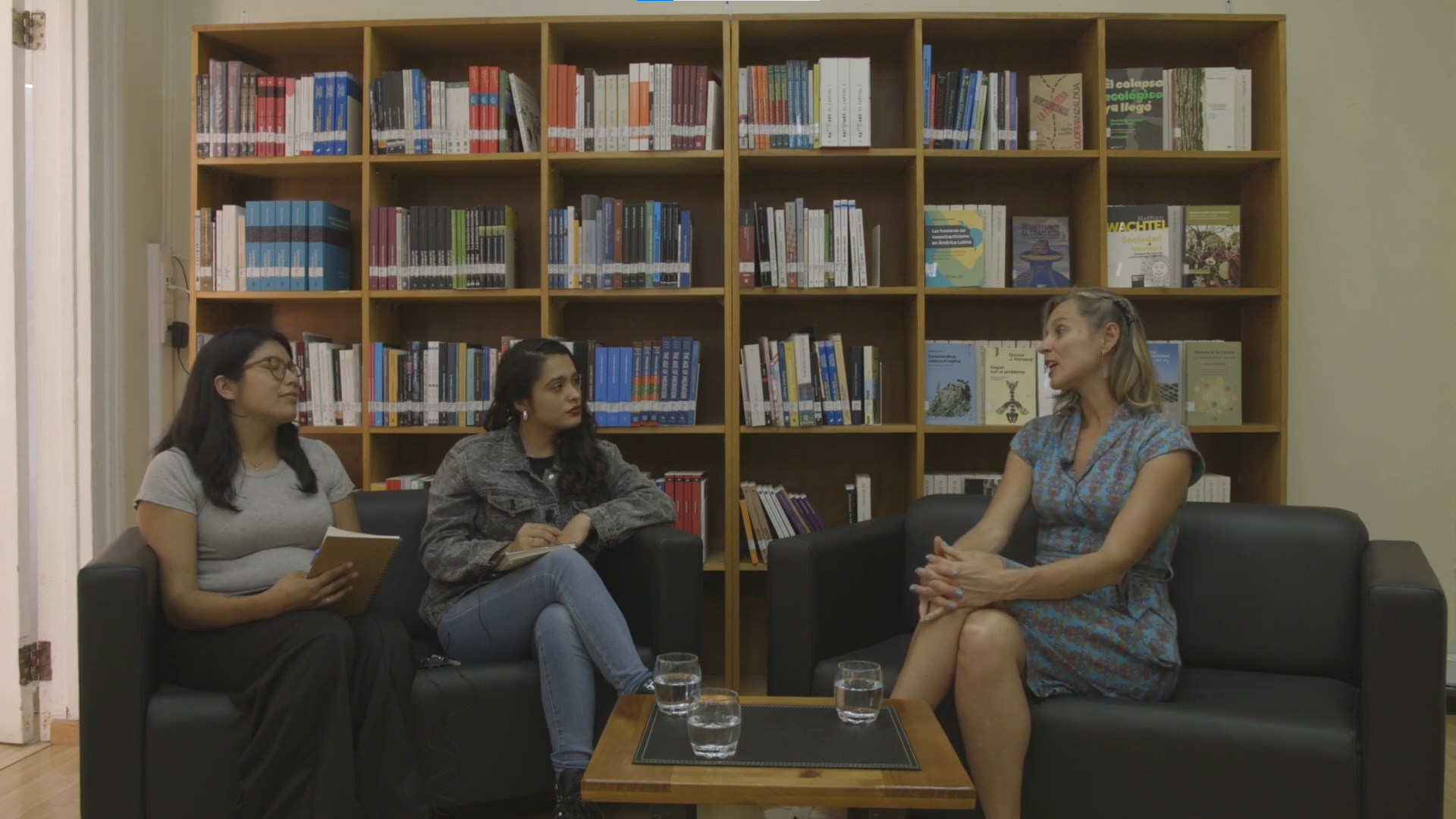Entrevista con la Dra. Menara Lube Guizardi: Doctorado en Ciencias Socailes – UTA